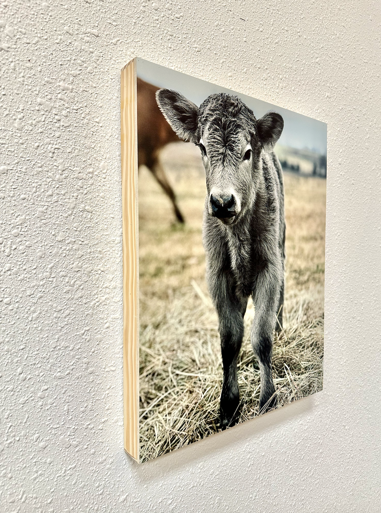 Silver Calf Cow fluffy farmhouse wood sign