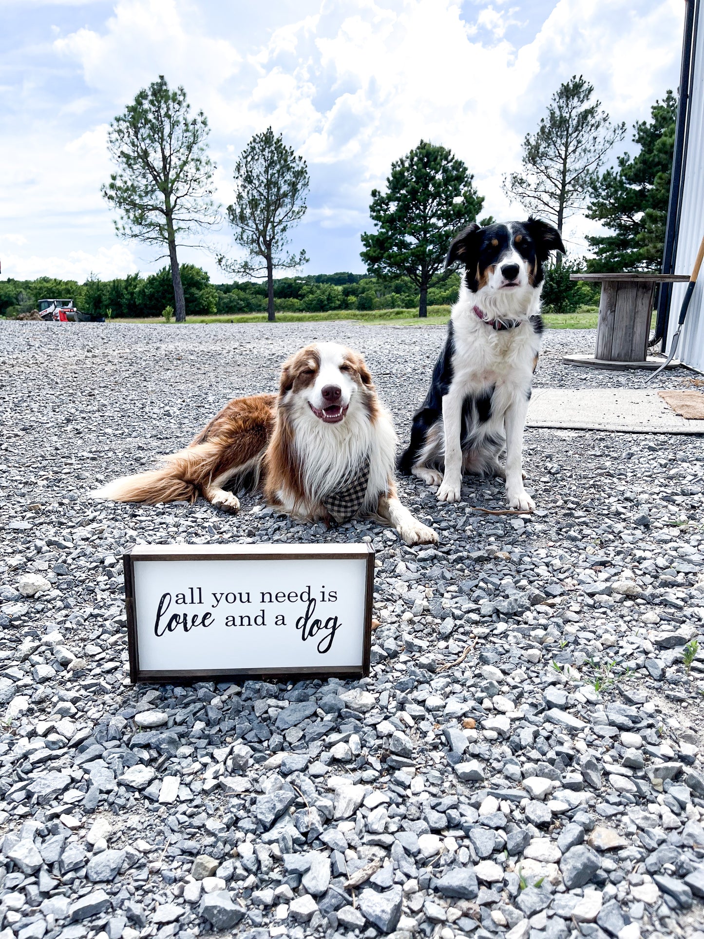 All you need is love and a dog