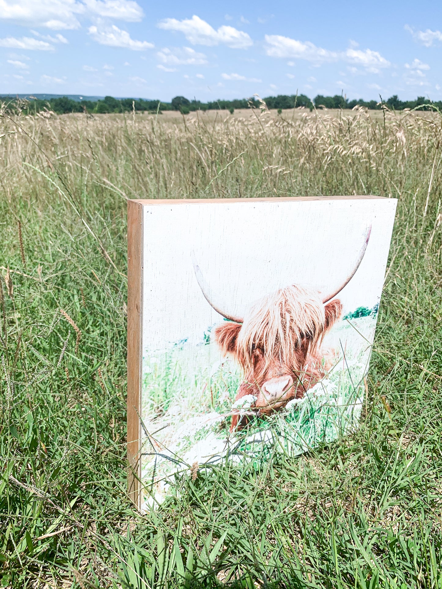 Highland Cow; Fluffy Cow Photo; Ruby; wood photo box