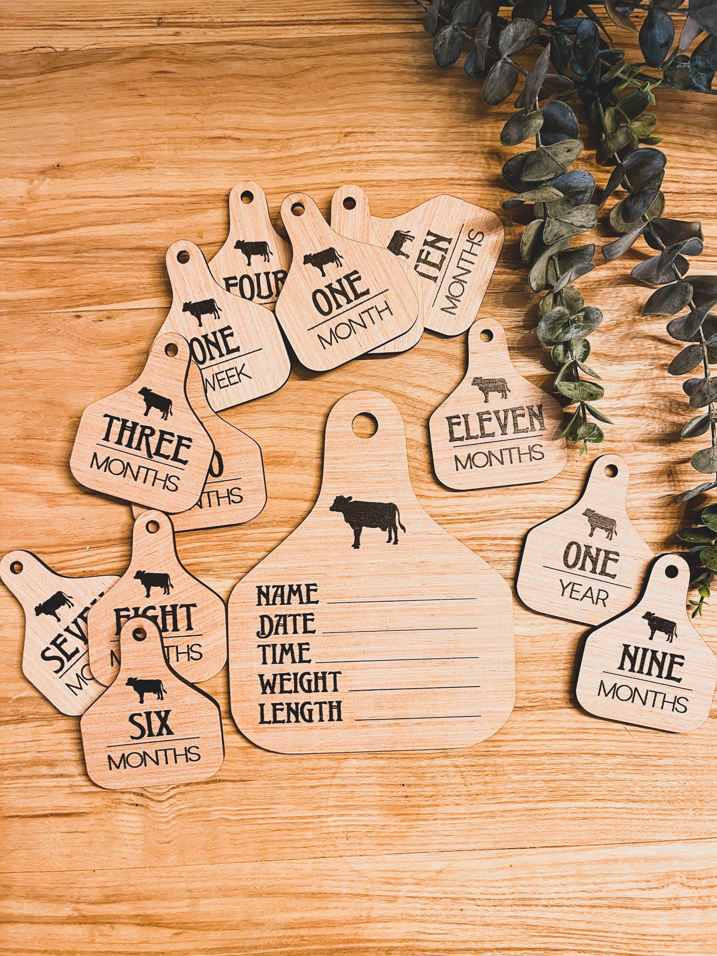 Cattle Ear Tag Baby Milestone cards + closet hangers + Announcement ; photo props; new born; babyshower gift Western Country