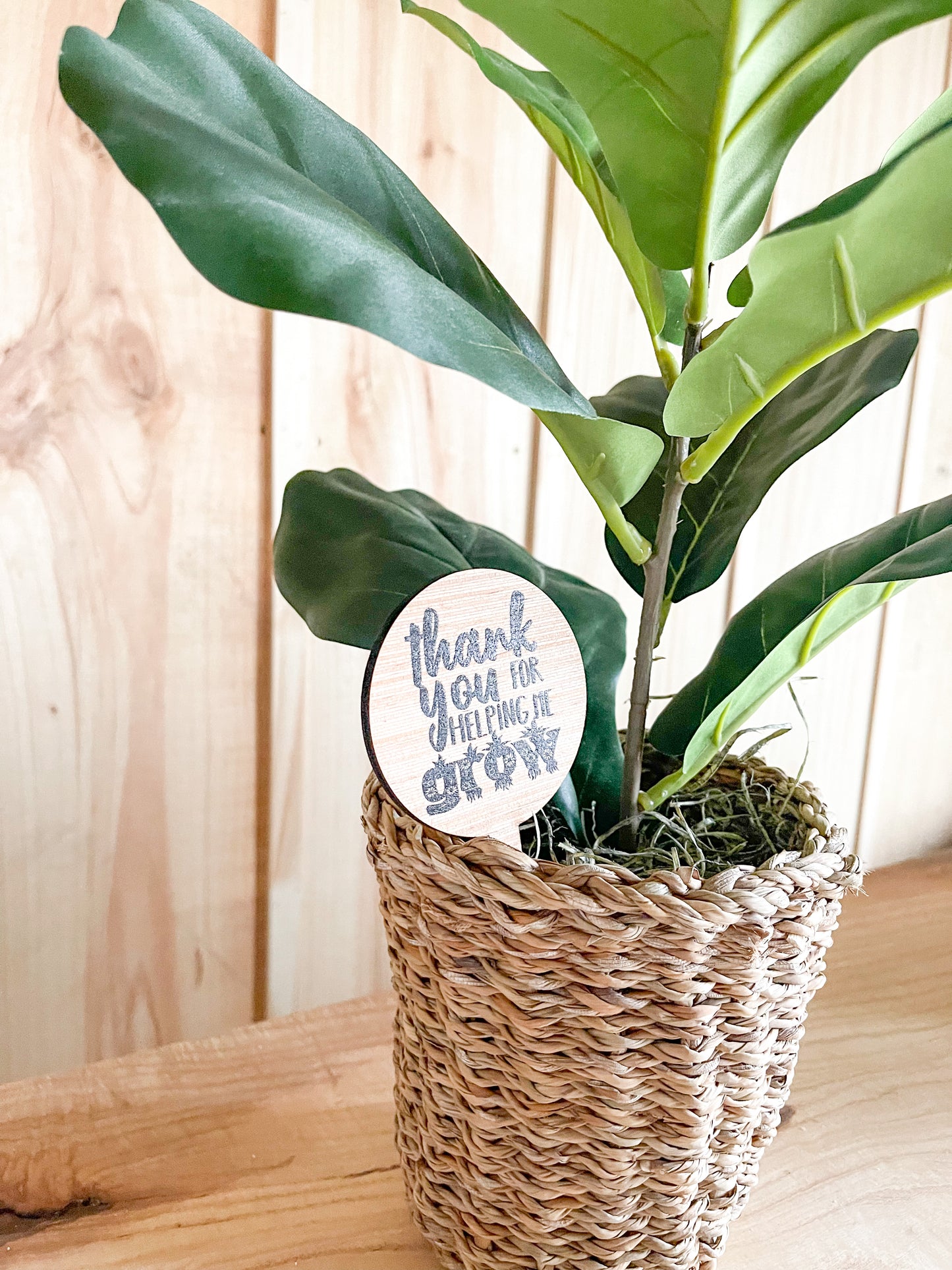 Thanks for helping me grow wood signs plant teacher appreciation gift