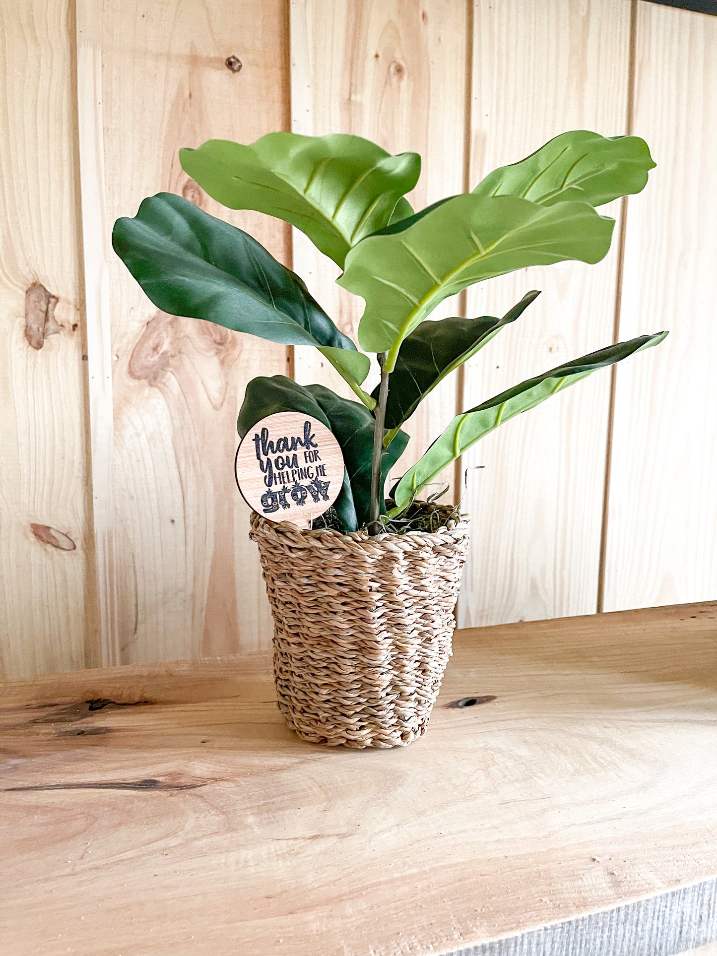 Thanks for helping me grow wood signs plant teacher appreciation gift