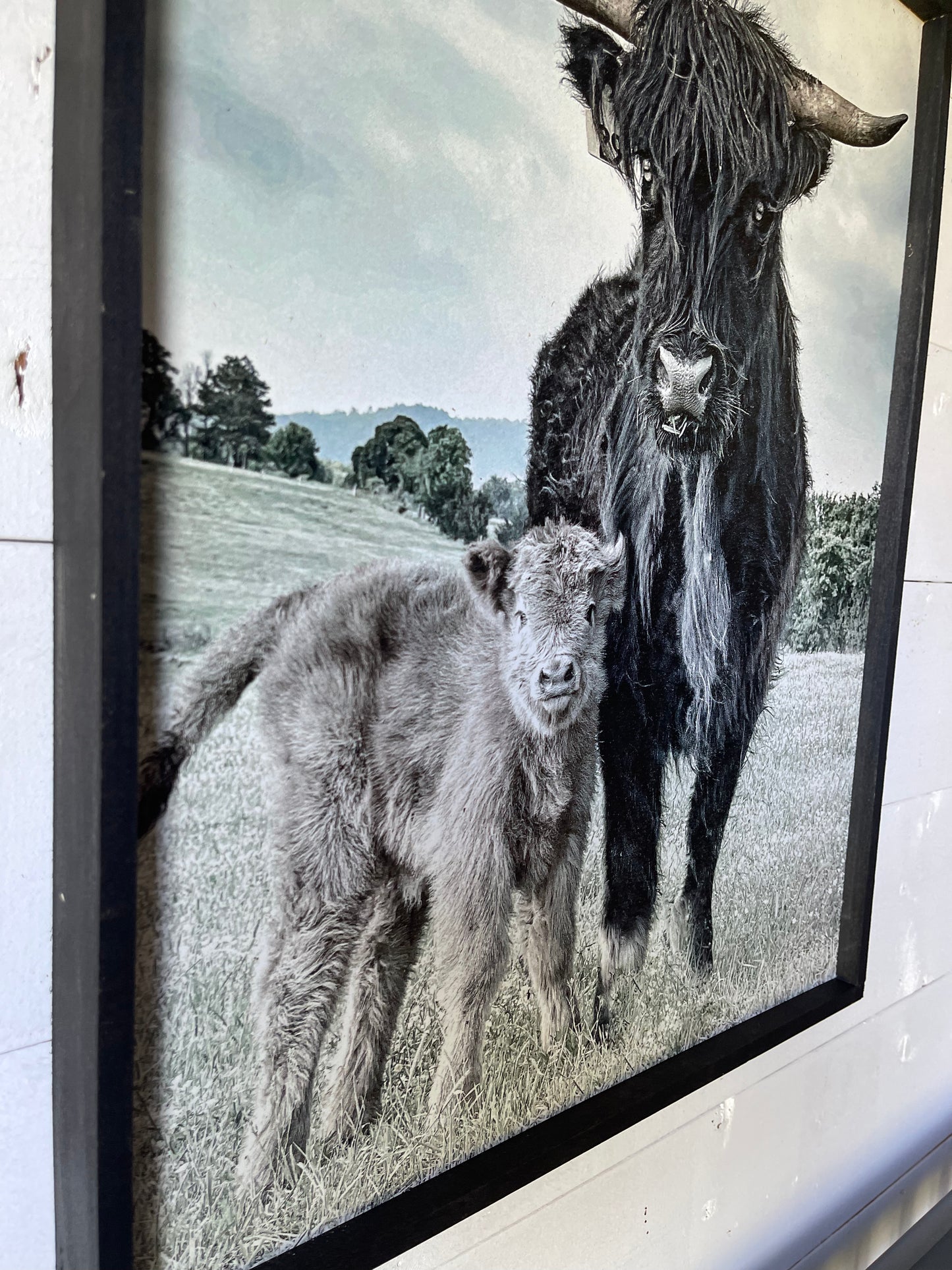Maggie and Calf wood sign