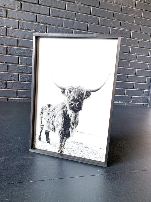 Darla Highland Cow Black and White fluffy cow horned cow