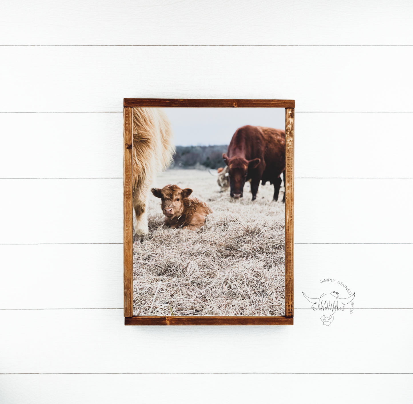 Fluffy Calf in field Highland Cow fluffy farmhouse wood sign