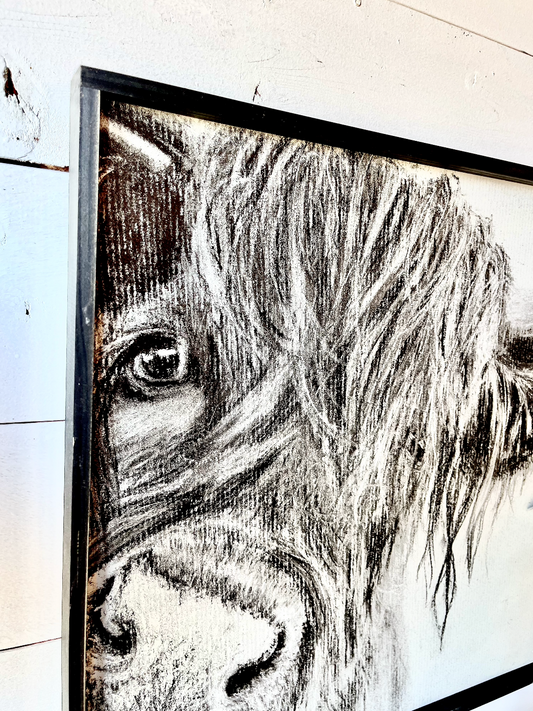 Cow Nose Drawing of Highland Cow Black and White Highland Cow fluffy farmhouse wood sign