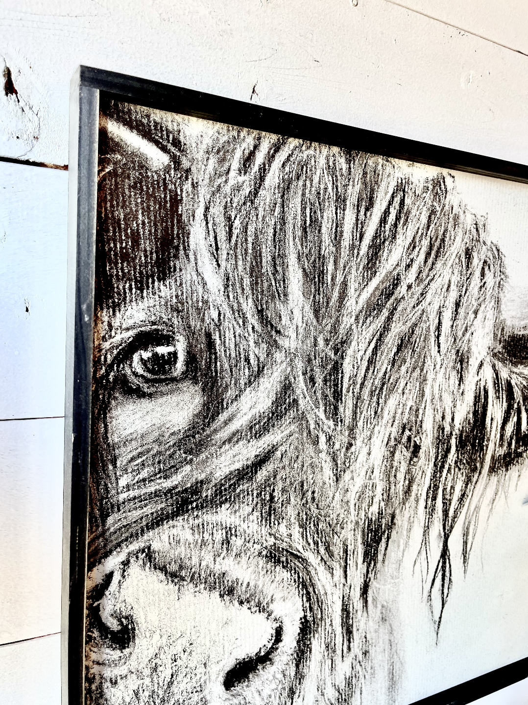 Cow Nose Drawing of Highland Cow Black and White Highland Cow fluffy farmhouse wood sign