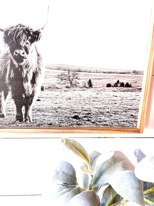 Ruby in the Field Highland Cow Black and White Highland Cow fluffy farmhouse wood sign