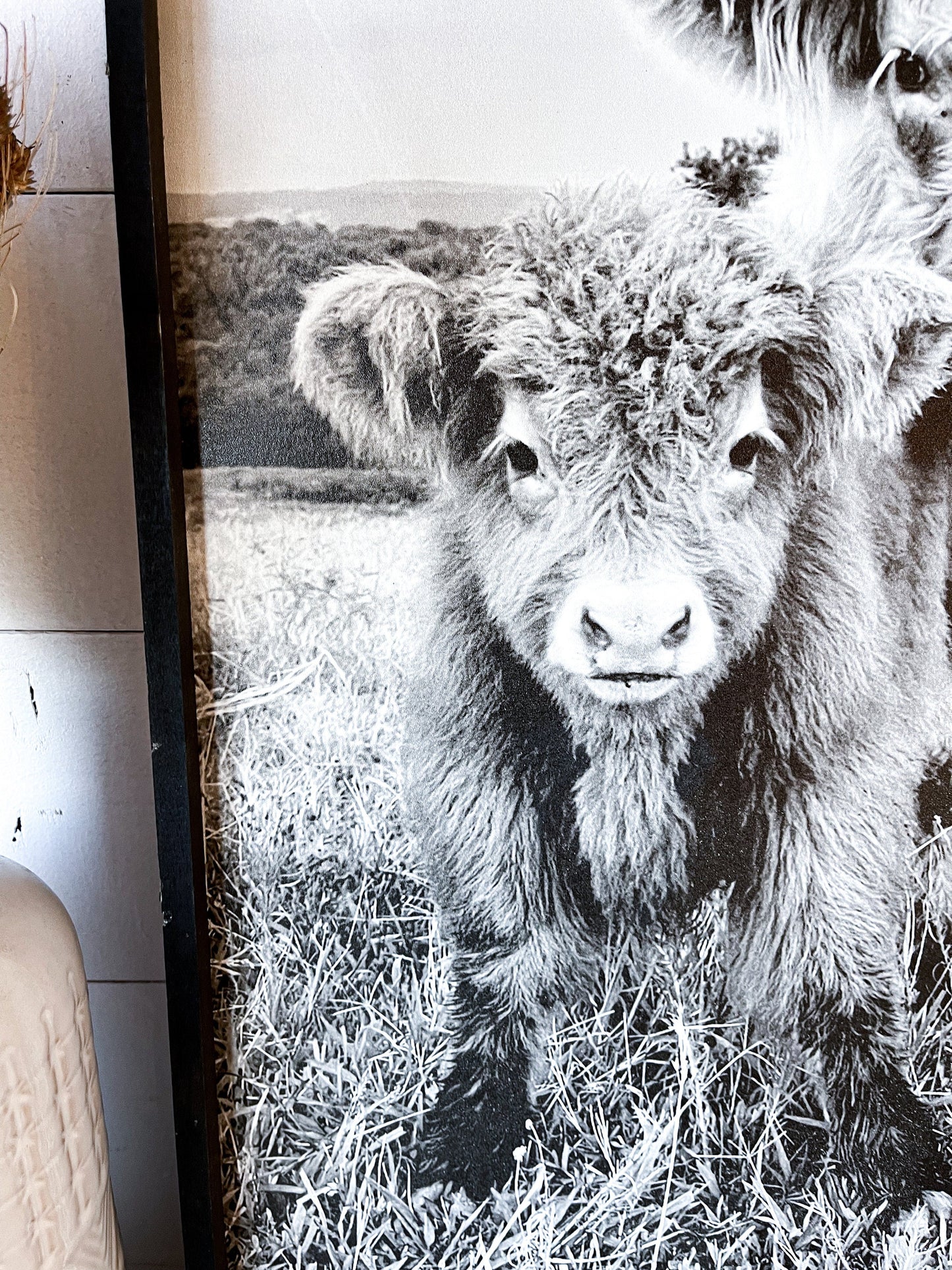 lola and Calf Highland Cow and baby Fluffy CowPhotos; Framed Wood Photo Signs