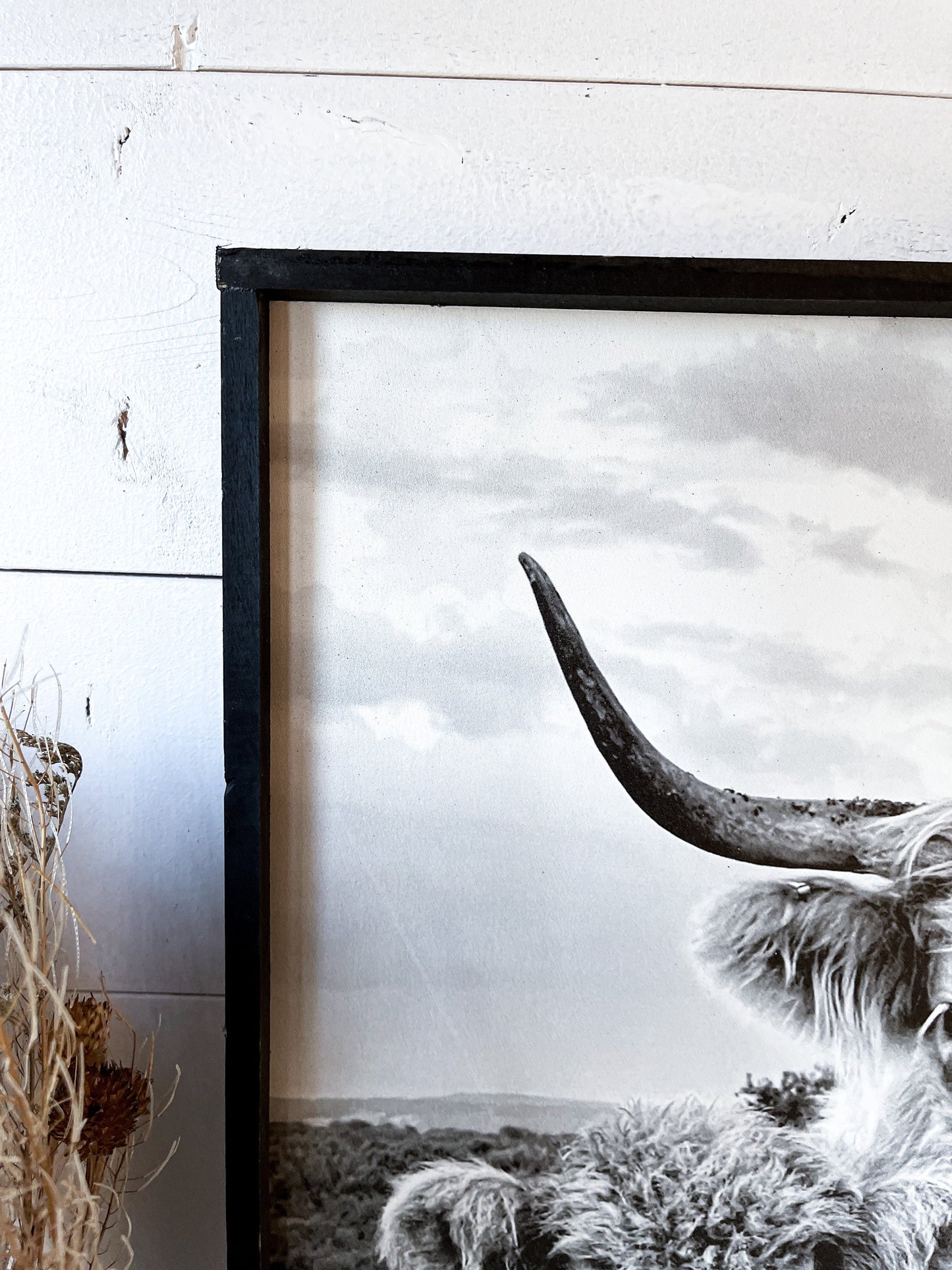 lola and Calf Highland Cow and baby Fluffy CowPhotos; Framed Wood Photo Signs