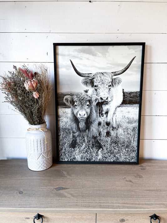lola and Calf Highland Cow and baby Fluffy CowPhotos; Framed Wood Photo Signs