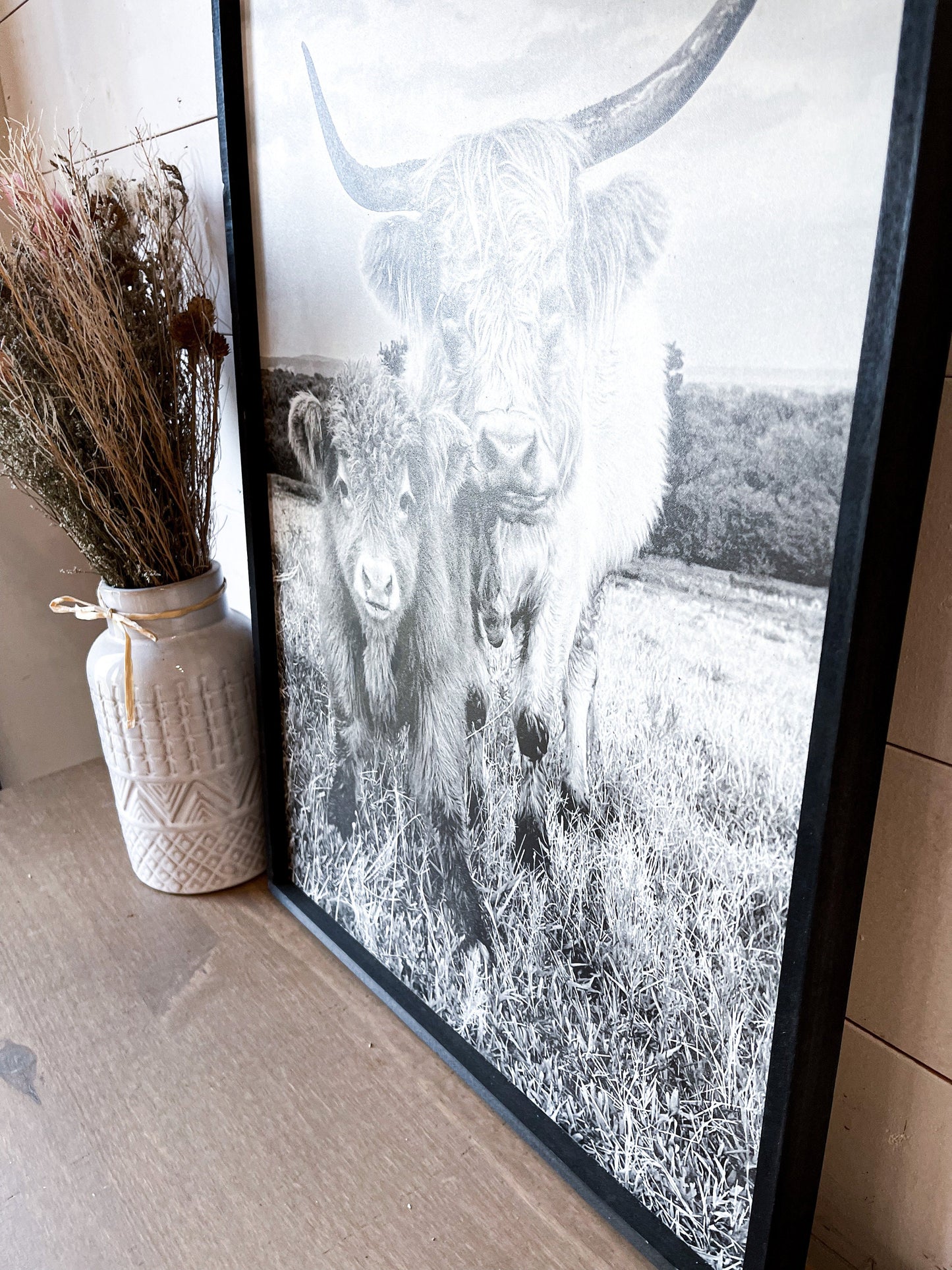 lola and Calf Highland Cow and baby Fluffy CowPhotos; Framed Wood Photo Signs
