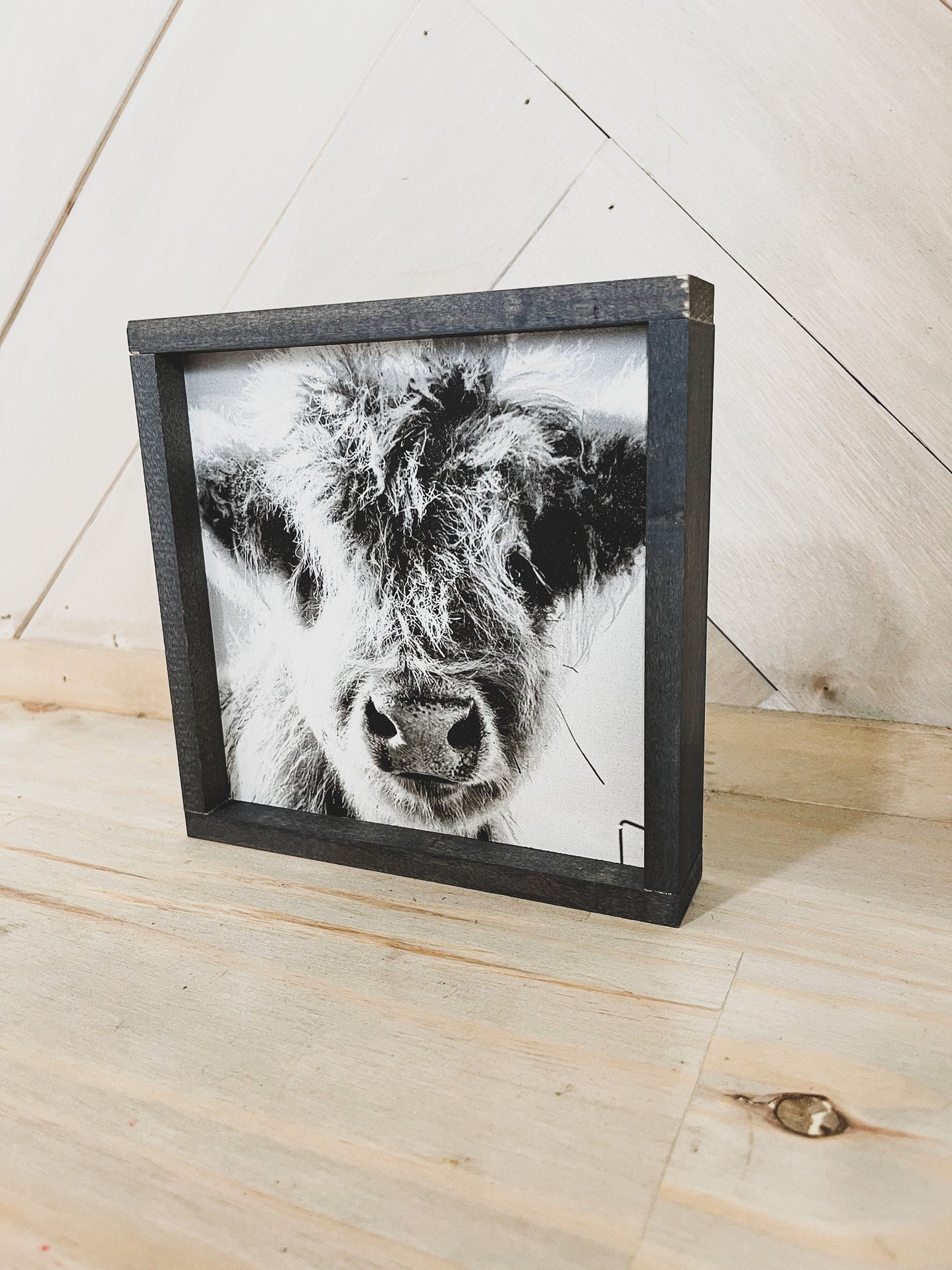Fluffy Calf Closeup Scottish Highland Cow Black and White Farmhouse wood sign