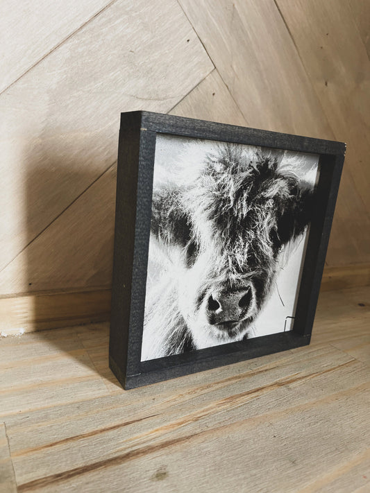 Fluffy Calf Closeup Scottish Highland Cow Black and White Farmhouse wood sign