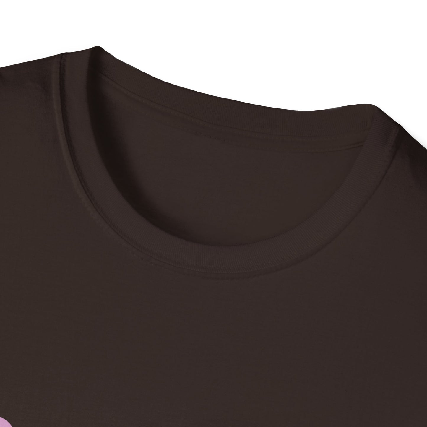 In my Teacher Era NEW Unisex Softstyle T-Shirt