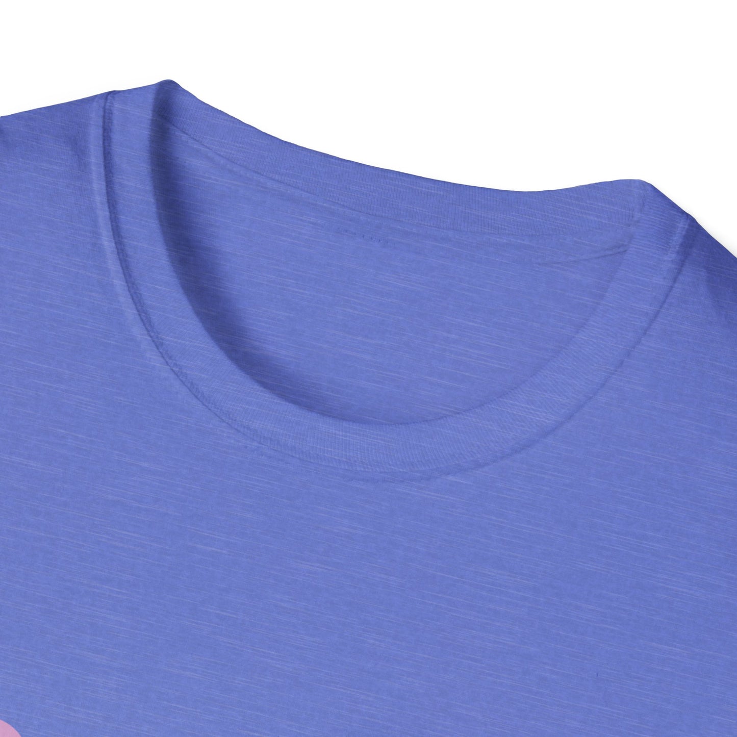 In my Teacher Era NEW Unisex Softstyle T-Shirt