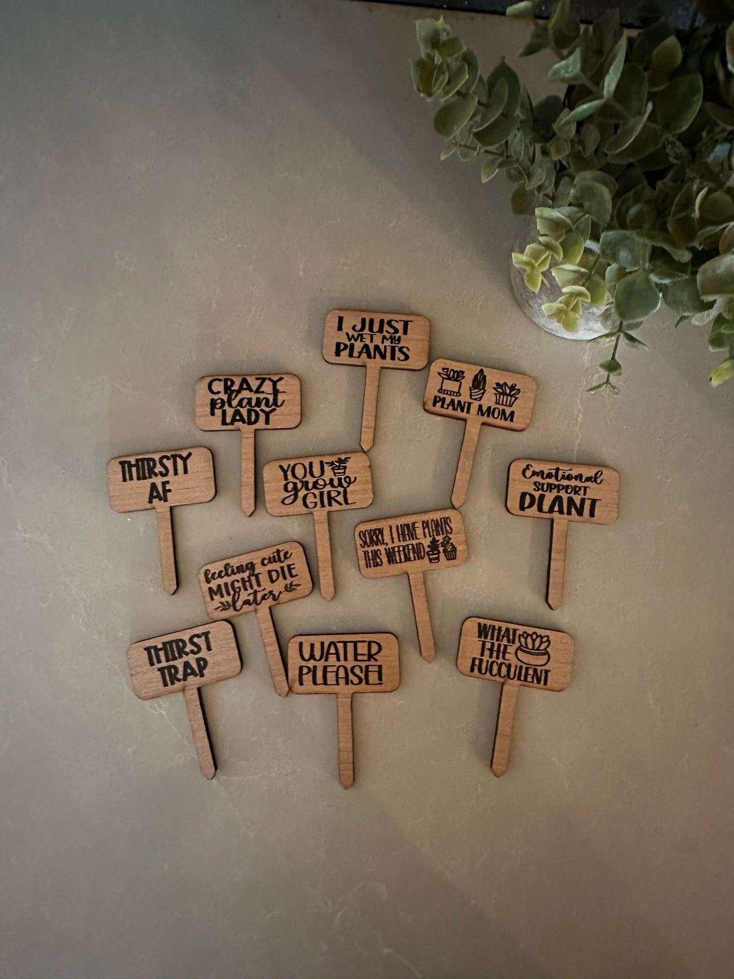 Funny Plant wood signs Garden Stakes - humor Garden or Indoor Plant wood Signs, Vegetables Labels, Planter Markers