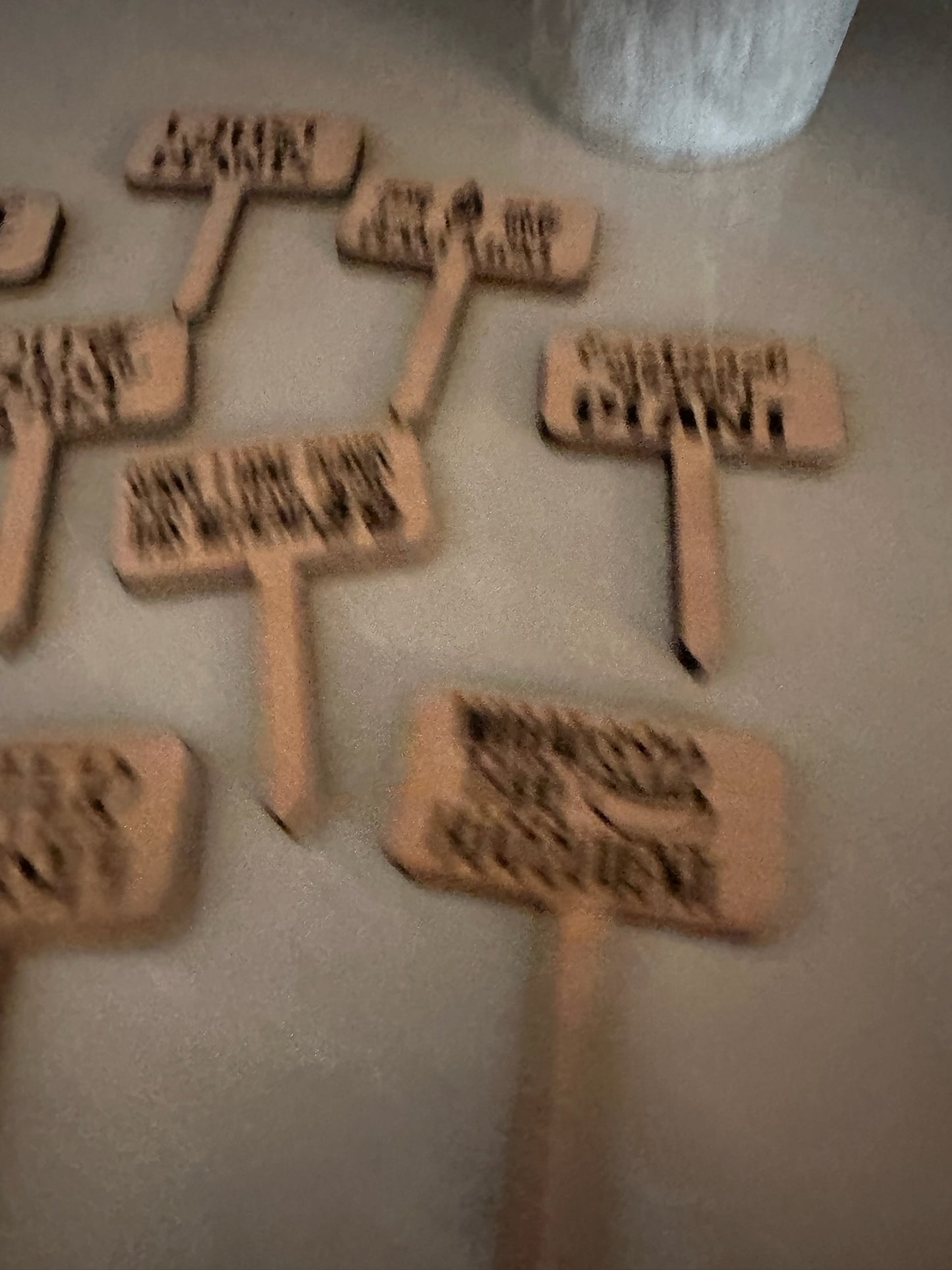 Funny Plant wood signs Garden Stakes - humor Garden or Indoor Plant wood Signs, Vegetables Labels, Planter Markers