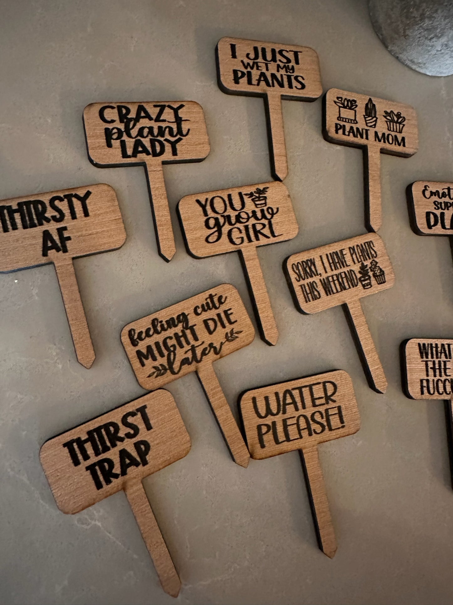 Funny Plant wood signs Garden Stakes - humor Garden or Indoor Plant wood Signs, Vegetables Labels, Planter Markers