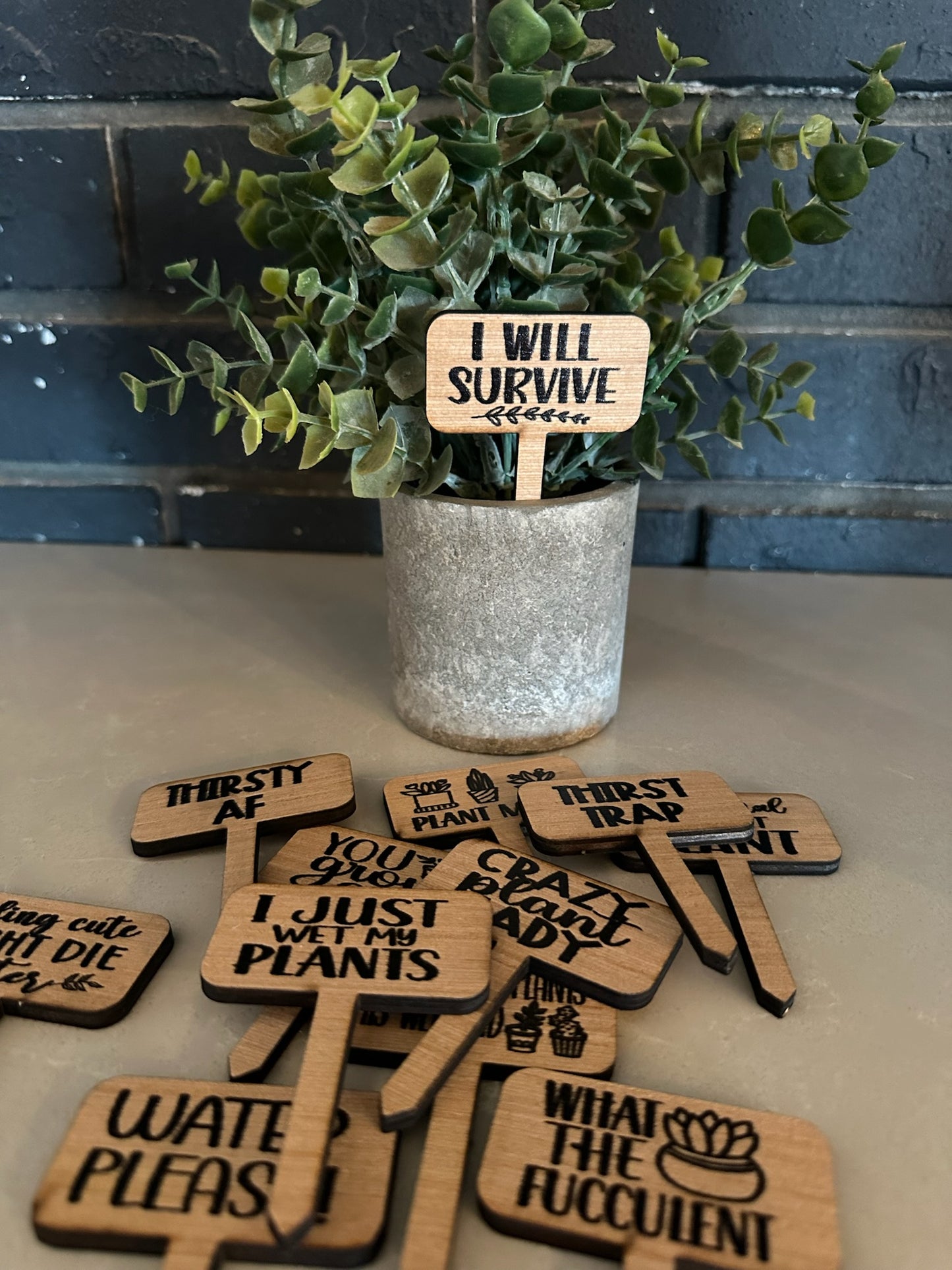 Funny Plant wood signs Garden Stakes - humor Garden or Indoor Plant wood Signs, Vegetables Labels, Planter Markers