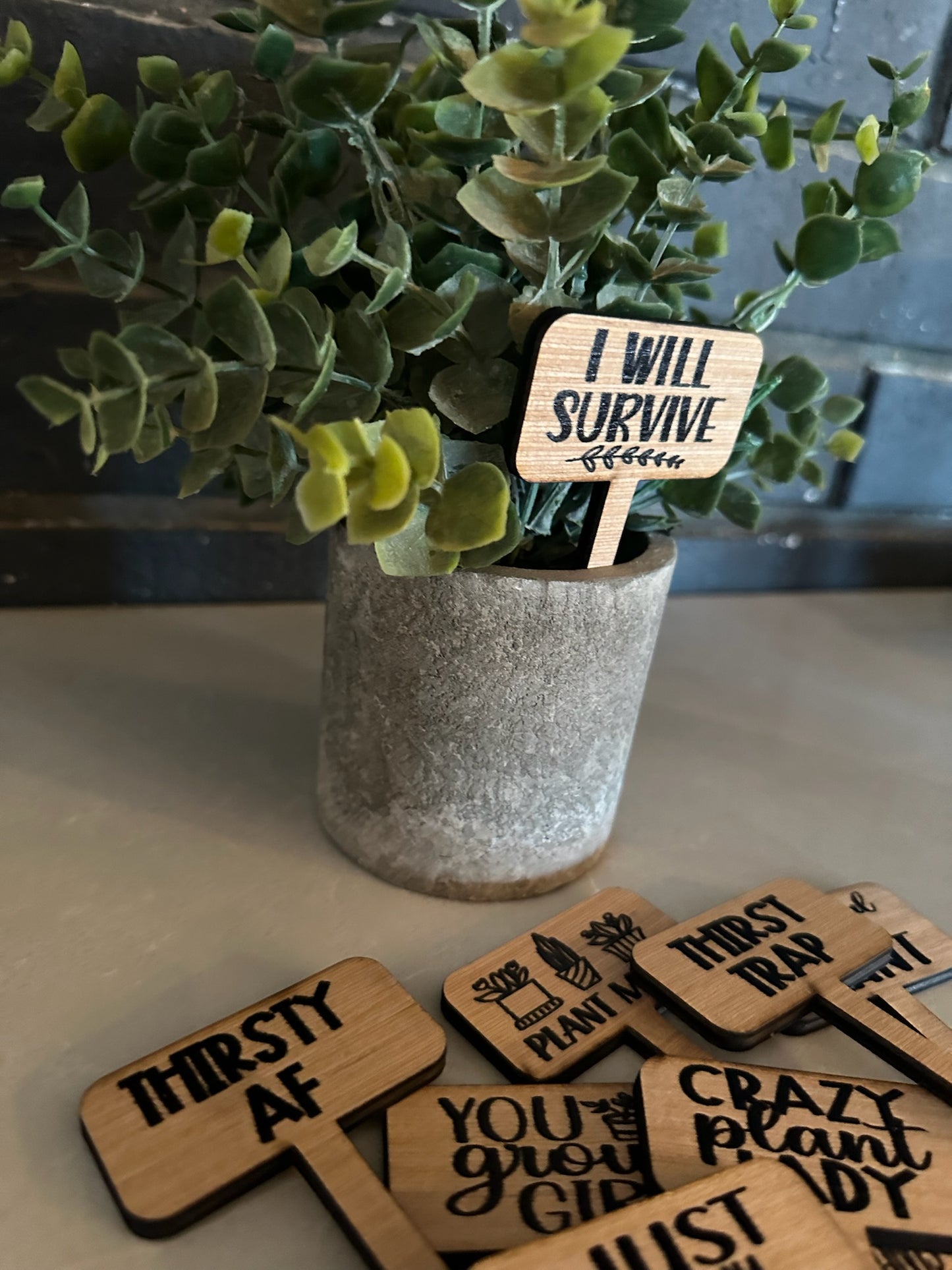 Funny Plant wood signs Garden Stakes - humor Garden or Indoor Plant wood Signs, Vegetables Labels, Planter Markers