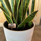 Funny Plant wood signs Garden Stakes - humor Garden or Indoor Plant wood Signs, Vegetables Labels, Planter Markers