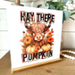 Hay there pumpkin highland fall 2023 new wood sign