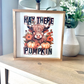 Hay there pumpkin highland fall 2023 new wood sign