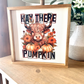 Hay there pumpkin highland fall 2023 new wood sign