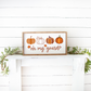 Oh My Gourd Pumpkins Framed Fall Sign