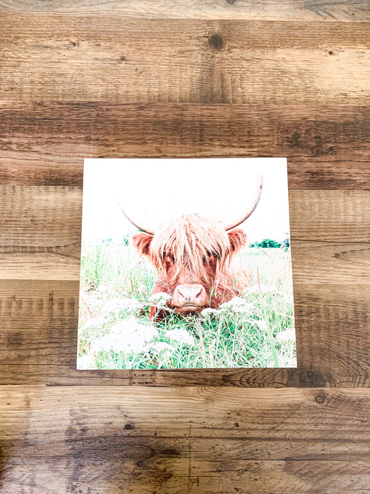Highland Cow; Fluffy Cow Photo; Ruby; wood photo box