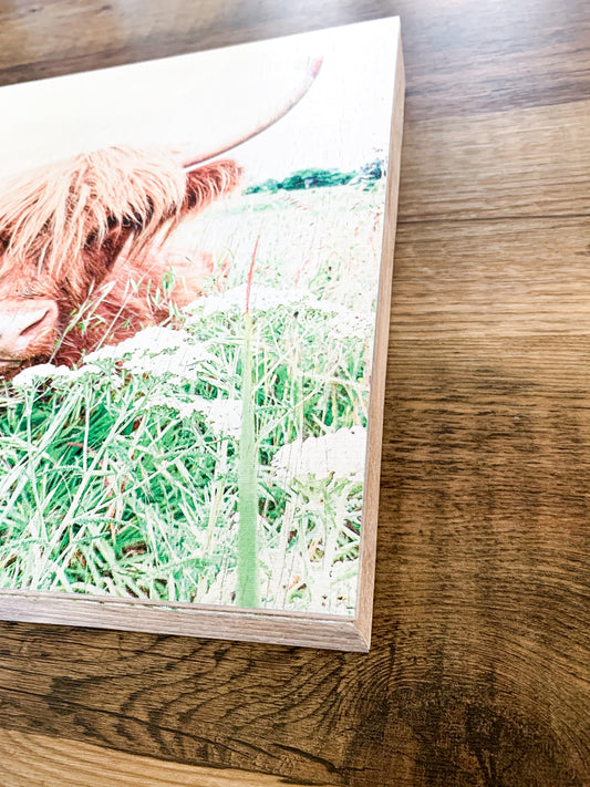 Highland Cow; Fluffy Cow Photo; Ruby; wood photo box