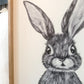 Easter Bunny drawing; Spring