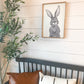 Easter Bunny drawing; Spring