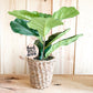 Thanks for helping me grow wood signs plant teacher appreciation gift
