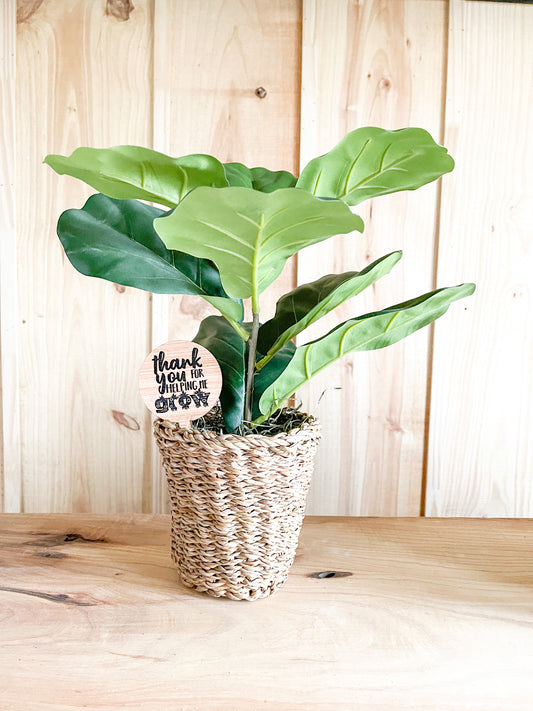 Thanks for helping me grow wood signs plant teacher appreciation gift