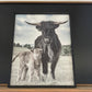 Maggie and Calf wood sign
