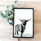 Darla Highland Cow Black and White fluffy cow horned cow