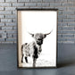 Darla Highland Cow Black and White fluffy cow horned cow