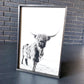 Darla Highland Cow Black and White fluffy cow horned cow
