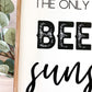 The only B.S. I need is beer and sunshine