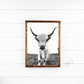 Denarys Black White Highland Cow fluffy farmhouse wood sign
