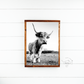 Black and white lola Highland Cow fluffy farmhouse wood sign