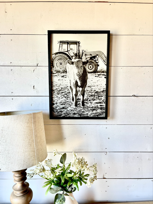 Tractor Calf Black and White Ranch Angus Calf Farm Animal wood sign Simply Country Ranch