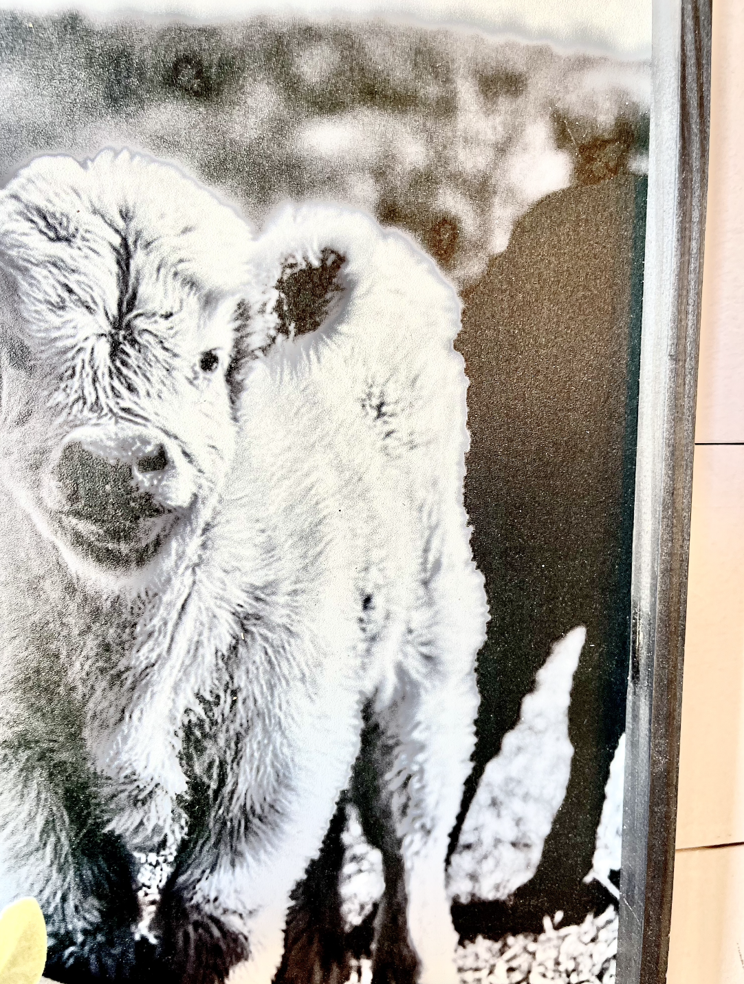 Betty White Calf Black and White Ranch Angus Calf Farm Animal wood sign Simply Country Ranch