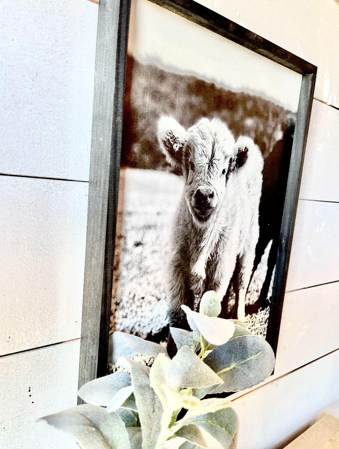 Betty White Calf Black and White Ranch Angus Calf Farm Animal wood sign Simply Country Ranch