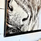 Cow Nose Drawing of Highland Cow Black and White Highland Cow fluffy farmhouse wood sign
