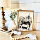 Lola Looking Back Highland Cow Black and White Highland Cow fluffy farmhouse wood sign