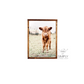 lolas calf highland cow fluffy cow baby animal nursery farm simply country cows