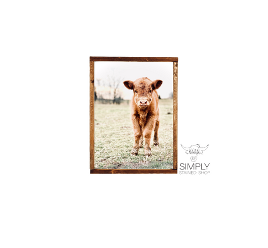 lolas calf highland cow fluffy cow baby animal nursery farm simply country cows